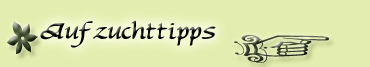 aufzuchttipps