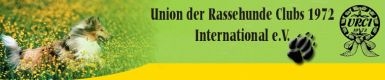 bannerurci