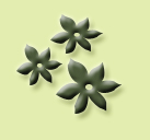 blumen
